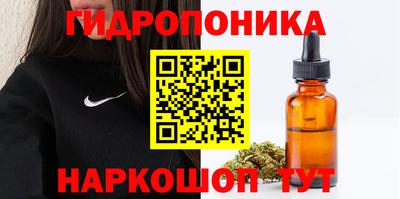 Альфа ПВП Пугачёв