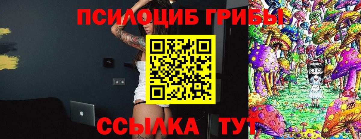 Псилоцибиновые грибы Magic Shrooms  Вход с VPN  Галлюциногенные грибы Psilocybine cubensis  Сертолово 